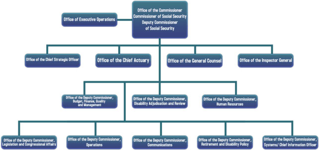 Office of the Chief Strategic Officer organization chart